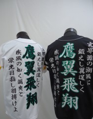 福岡ソフトバンクホークス　ユニフォーム刺繍　南海カラーサムネイル